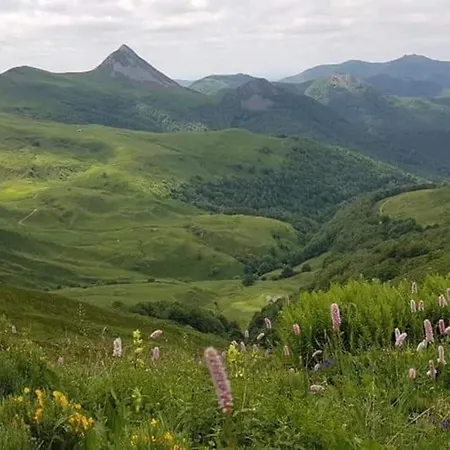 Chaleureux Avec Cheminée Au Pied Du Puy Mary Hébergement de vacances