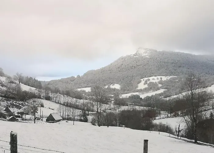 Chaleureux Avec Cheminee Au Pied Du Puy Mary Saint-Paul-de-Salers
